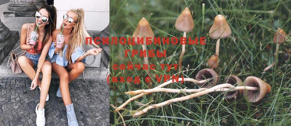 не бодяженный Вязники