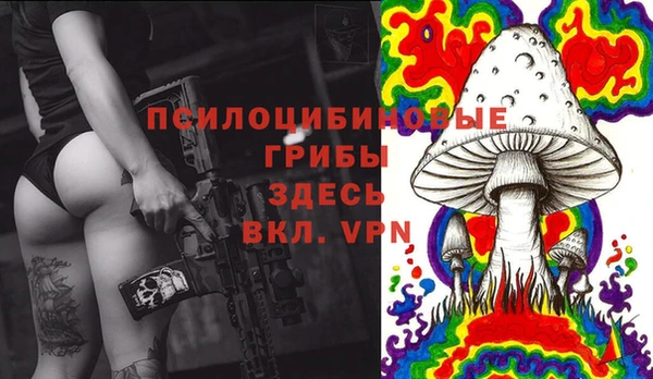 mdpv Вязьма