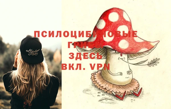 а пвп мука Вяземский