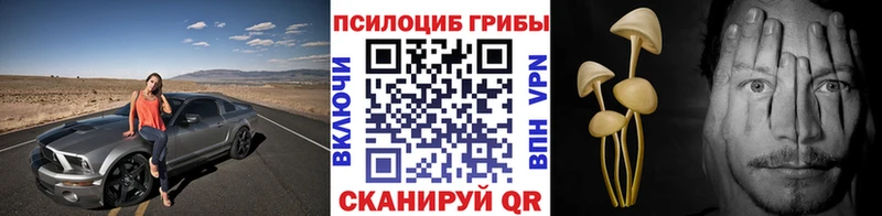 хочу   Гусиноозёрск  Псилоцибиновые грибы MAGIC MUSHROOMS 