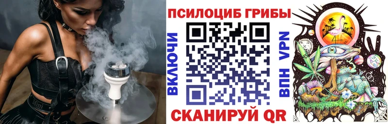 Псилоцибиновые грибы мухоморы Гусиноозёрск